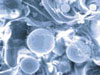 Glass Microspheres Tealon TF1570